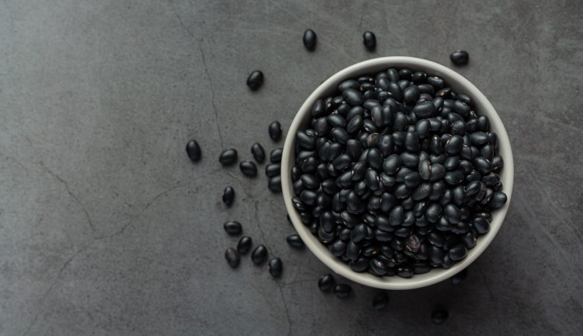 Hunger and human development